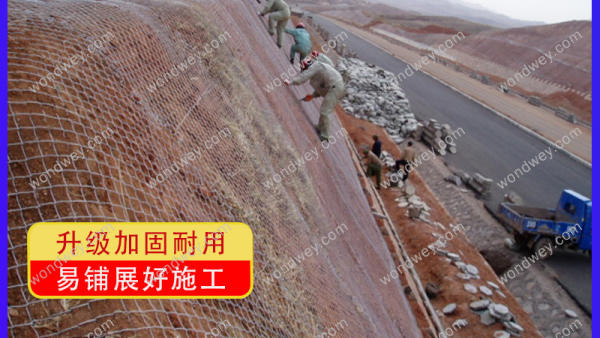 如何选择适合的边坡防护丝网？